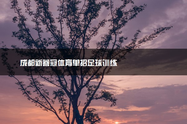 成都新蓉冠体育单招足球训练