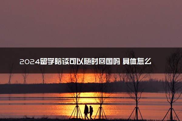 2024留学陪读可以随时回国吗 具体怎么回事