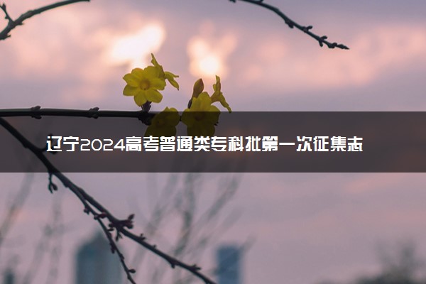 辽宁2024高考普通类专科批第一次征集志愿剩余计划表