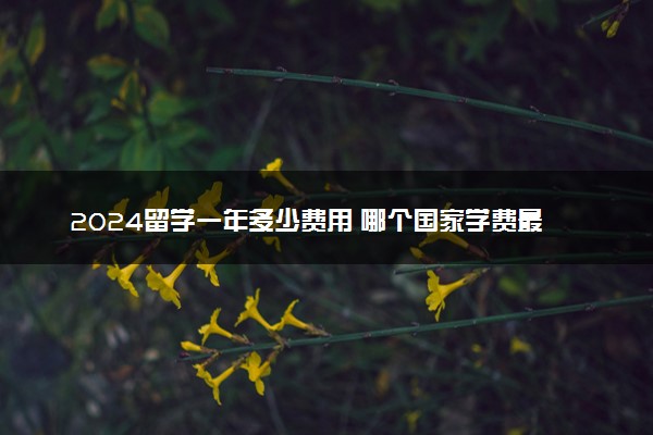 2024留学一年多少费用 哪个国家学费最低