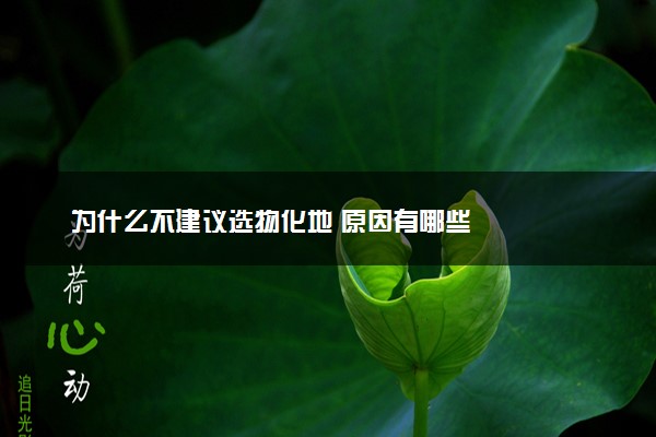 为什么不建议选物化地 原因有哪些