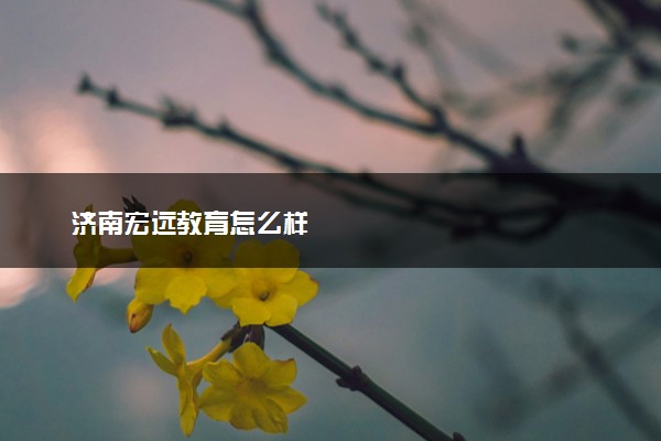 济南宏远教育怎么样
