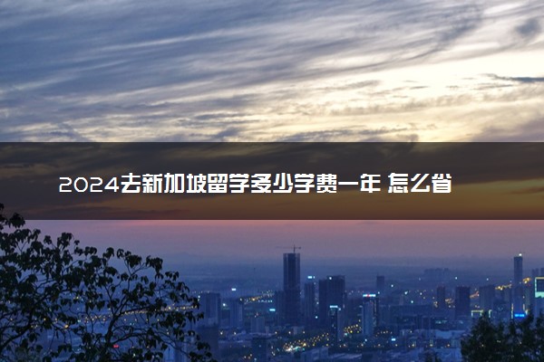 2024去新加坡留学多少学费一年 怎么省钱