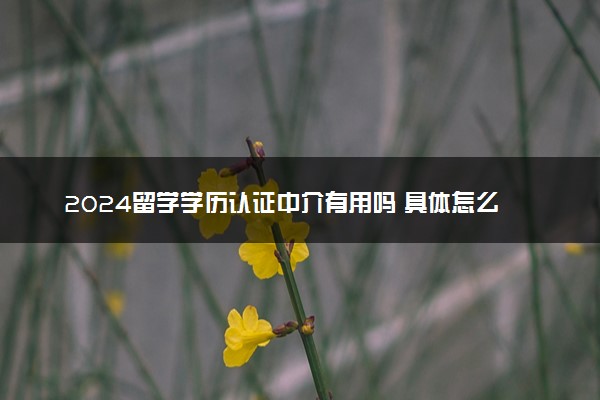 2024留学学历认证中介有用吗 具体怎么回事