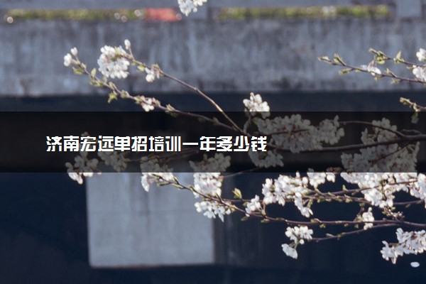 济南宏远单招培训一年多少钱