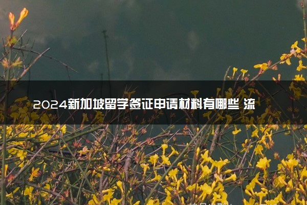 2024新加坡留学签证申请材料有哪些 流程是什么