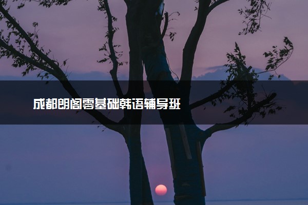 成都朗阁零基础韩语辅导班