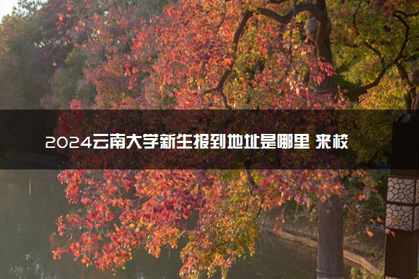 2024云南大学新生报到地址是哪里 来校路线有哪些