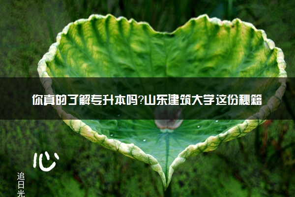 你真的了解专升本吗？山东建筑大学这份秘籍请收下！