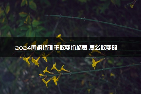 2024围棋培训班收费价格表 怎么收费的