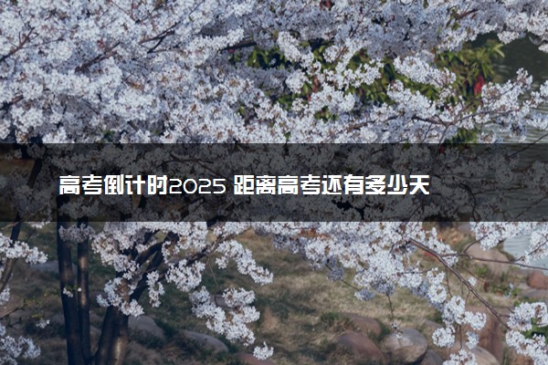 高考倒计时2025 距离高考还有多少天