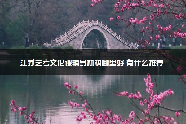 江苏艺考文化课辅导机构哪里好 有什么推荐