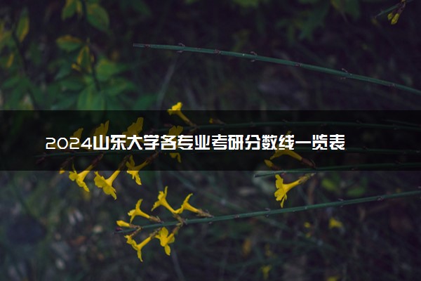 2024山东大学各专业考研分数线一览表 历年复试线汇总