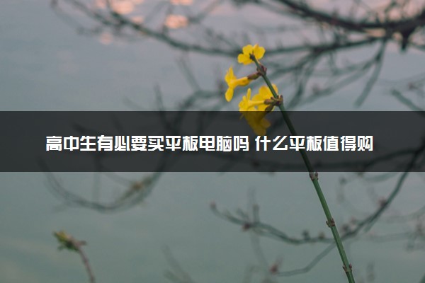 高中生有必要买平板电脑吗 什么平板值得购买