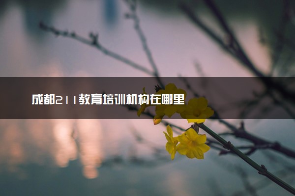 成都211教育培训机构在哪里
