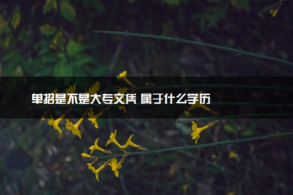 单招是不是大专文凭 属于什么学历