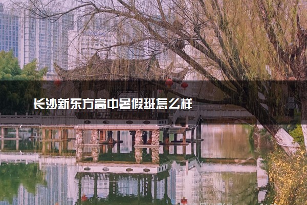 长沙新东方高中暑假班怎么样