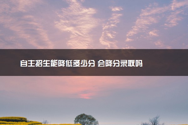 自主招生能降低多少分 会降分录取吗