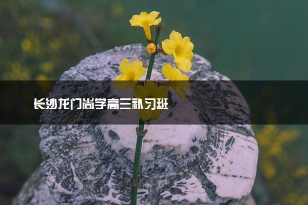 长沙龙门尚学高三补习班