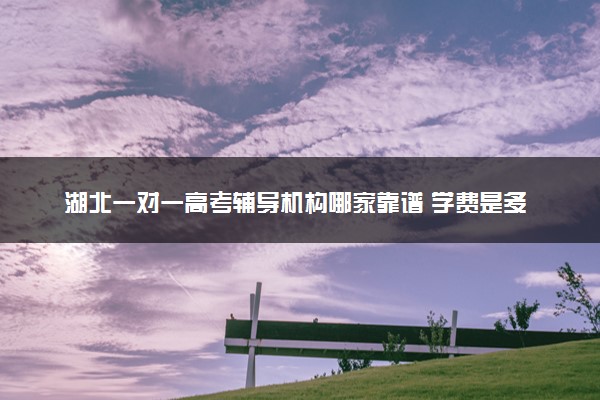 湖北一对一高考辅导机构哪家靠谱 学费是多少