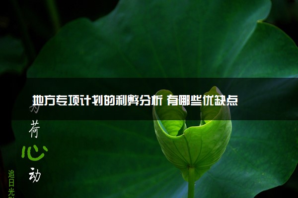 地方专项计划的利弊分析 有哪些优缺点