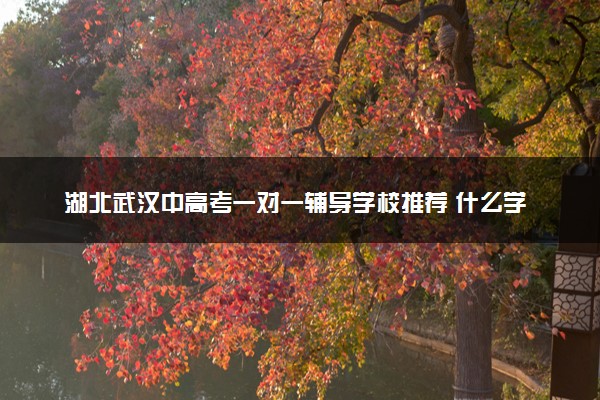 湖北武汉中高考一对一辅导学校推荐 什么学校好