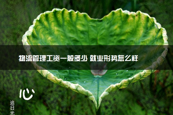 物流管理工资一般多少 就业形势怎么样