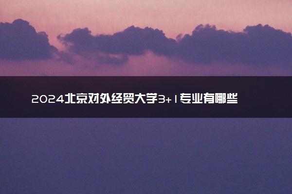 2024北京对外经贸大学3+1专业有哪些 值得读吗