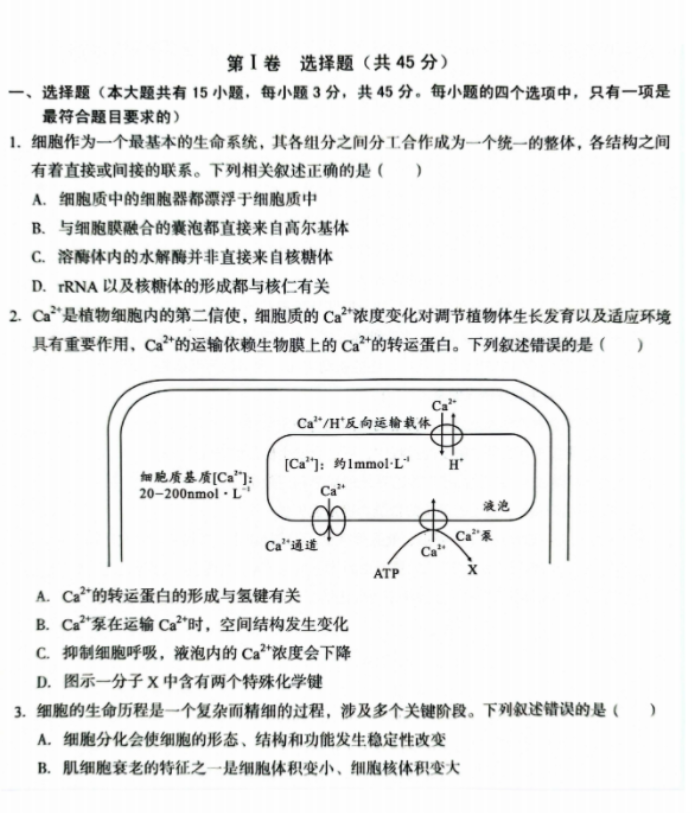 安徽A10联盟2025届高三8月开学摸底考生物试题及答案