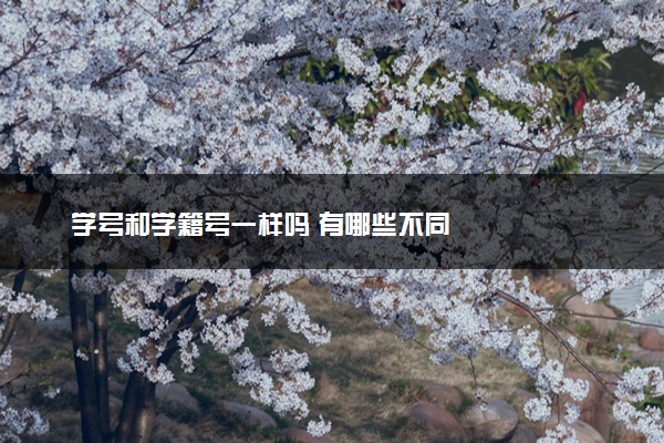 学号和学籍号一样吗 有哪些不同