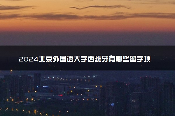 2024北京外国语大学西班牙有哪些留学项目 容易申请吗