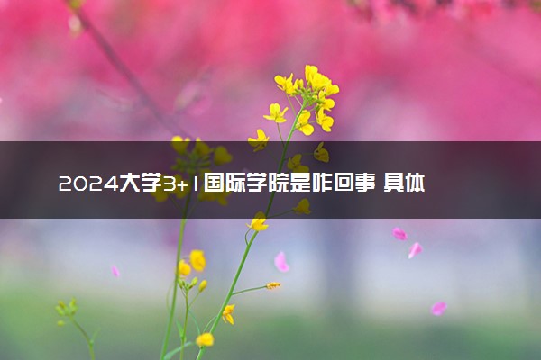 2024大学3+1国际学院是咋回事 具体详细介绍
