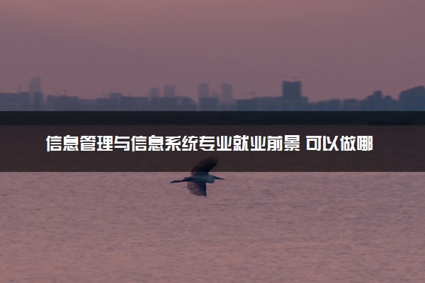 信息管理与信息系统专业就业前景 可以做哪些工作