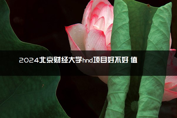 2024北京财经大学hnd项目好不好 值得选择吗