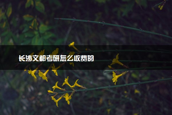 长沙文都考研怎么收费的