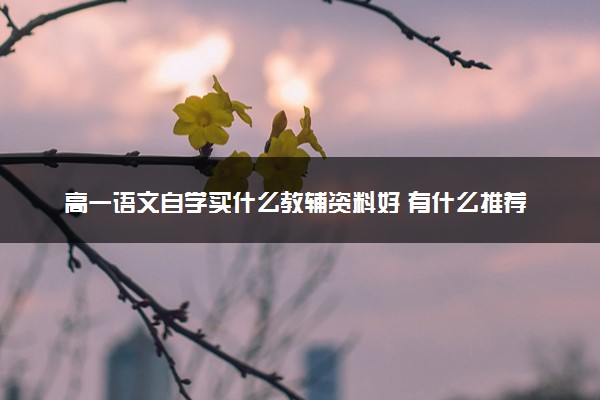 高一语文自学买什么教辅资料好 有什么推荐