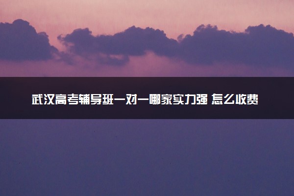 武汉高考辅导班一对一哪家实力强 怎么收费的