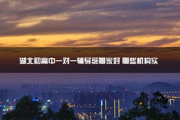 湖北初高中一对一辅导班哪家好 哪些机构实力强