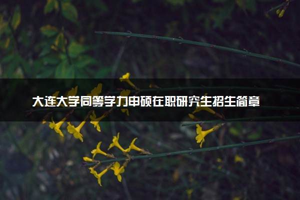 大连大学同等学力申硕在职研究生招生简章