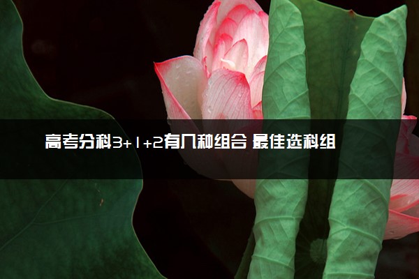 高考分科3+1+2有几种组合 最佳选科组合是什么