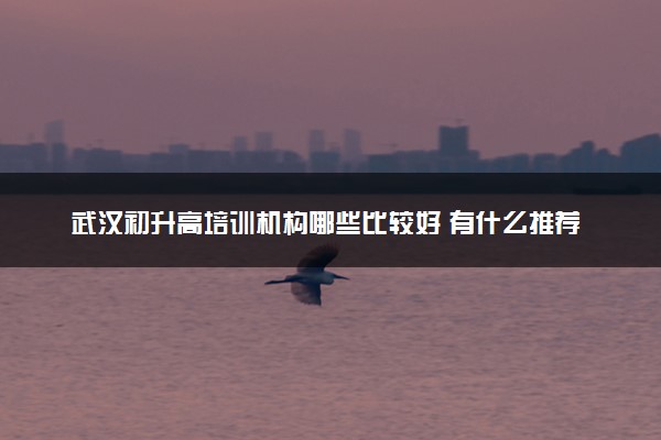 武汉初升高培训机构哪些比较好 有什么推荐
