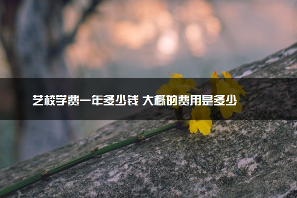 艺校学费一年多少钱 大概的费用是多少