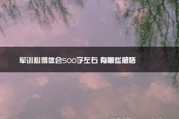 军训心得体会500字左右 有哪些感悟