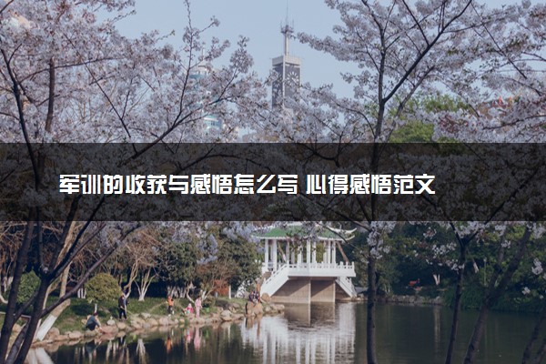 军训的收获与感悟怎么写 心得感悟范文