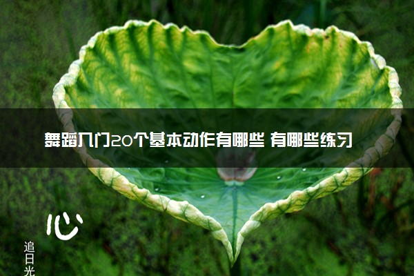 舞蹈入门20个基本动作有哪些 有哪些练习技巧