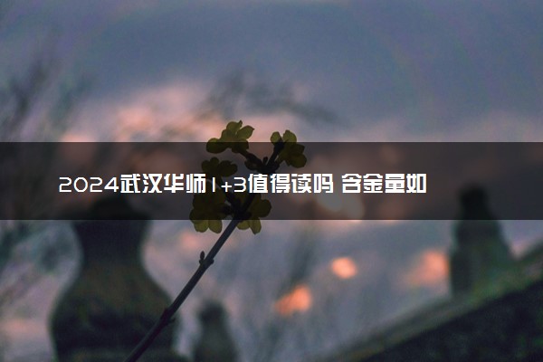2024武汉华师1+3值得读吗 含金量如何