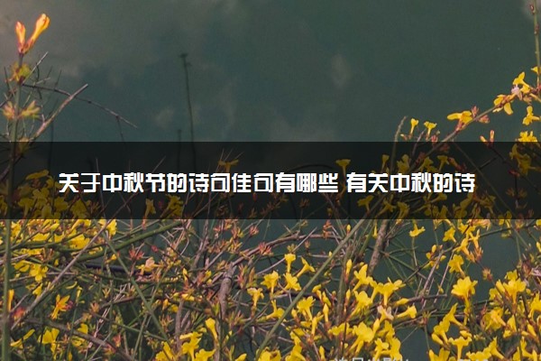关于中秋节的诗句佳句有哪些 有关中秋的诗句素材