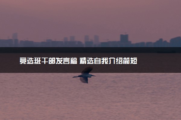 竞选班干部发言稿 精选自我介绍简短