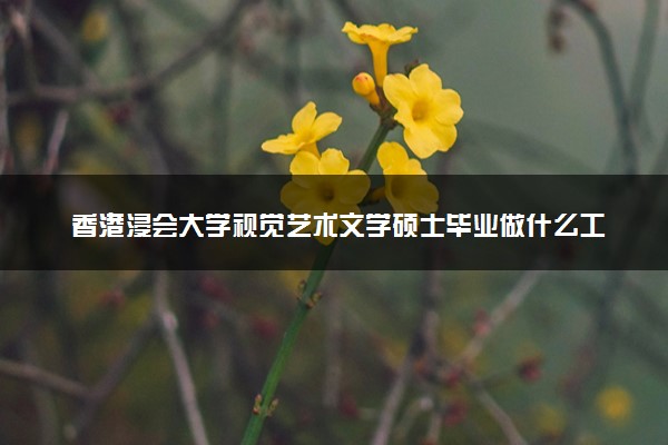香港浸会大学视觉艺术文学硕士毕业做什么工作