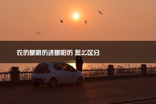 农历是阴历还是阳历 怎么区分
